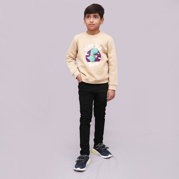 BOYS SWEAT SHIRT