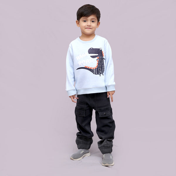 BOYS SWEAT SHIRT